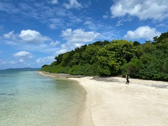 GOTOキャンペーンが始まり様子を見つつ9月末に検索開始。候補は北海道や西表島など。行った事がない石垣島に行く事に決めた所、異常に安いツアーを発見。即申し込み。<br />概要<br />羽田空港～石垣島空港（直行便）ANA利用<br />ANAインターコンチネンタルベイウイング2泊<br />朝夕4食付き<br />レンタカー付き<br />1人12000円地域振興券付き<br />67000円/一人<br />いやはやビックリお得な旅となりました。