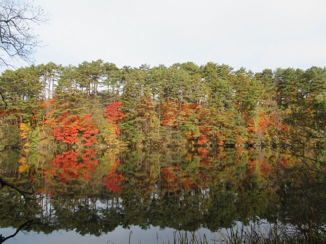 福島県へ、紅葉と名産品の買い物を目的にドライブ旅行しました②