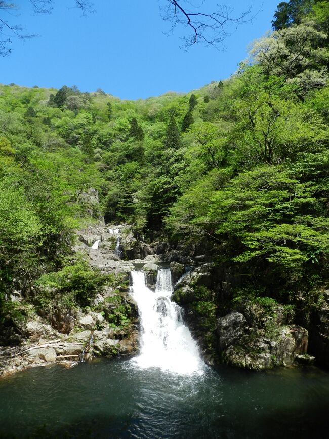 2018年のゴールデンウィークは広島県の『三段峡』に2泊3日の旅程で行くことにしました。<br />自家用車で行けない場所ではありませんが、道路も混む可能性があるし、ずっと運転し続けると疲れるし...<br />ということで、広島まで新幹線で行って、レンタカーで回るという作戦を立てました。<br /><br />出発前の時点で通算の滝訪問数が996ヶ所、今回の旅行で遂に1000滝訪問を達成することができました～！！<br /><br />《その４》<br />「二段滝」で訪問滝数が1000ヶ所を達成した後、三段峡の他の滝をめぐります。<br />まずは、三段峡を代表する『三段滝』を訪れました。