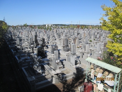 平和公園共同墓地周辺は印旛手賀県立自然公園地域に指定されておりすぐ目の前が手賀の広大な田園風景が臨めます。最近完成した樹木の丘　樹木葬。当院の樹木葬は、シンボルツリーを本来の墓碑に置き換え、樹木に参拝をする新しいスタイルのお墓です。メインツリーの高さは約6ｍ程、常緑樹のコウヤマキです。自然に還りたい、大地で眠りたい などお考えの方に最適なお墓となっております。最近は後を引き継ぐ人がいない、高額の墓石は建てられない、等の理由で永代供養墓、樹木葬が増えています。葬儀も家族葬で小さく済まそうとしています。特にコロナで亡くなると病院から火葬場に直行、骨壺に入って家族の元へ、葬儀も親族の中で人選し少人数（4～5人）で執り行うようです。お寺さんの経営も大変です。樹木葬は宗派を問わず、生前に購入し、遺骨は大地に還し、以後の法要は無く金銭も掛かりません。平和公園共同墓地は近くの寺「興福院」が管理しているようです。興福院平和公園共同墓地で検索して見たら良いでしょう。