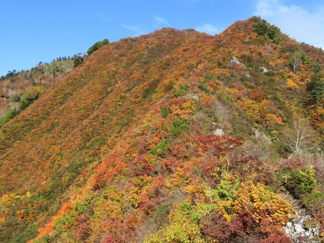 鳥甲山（とりかぶとやま）と苗場山を、秋山郷に宿泊し、2日に分けて日帰り登山。