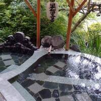 秋の長野で日本酒と温泉に溺れるの巻～第１日目・沓掛温泉