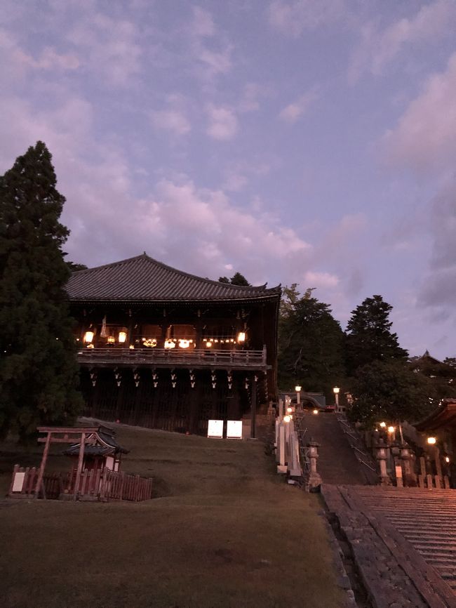 お給料が減って休みが増えたので、低予算をテーマに奈良京都を旅行しました。