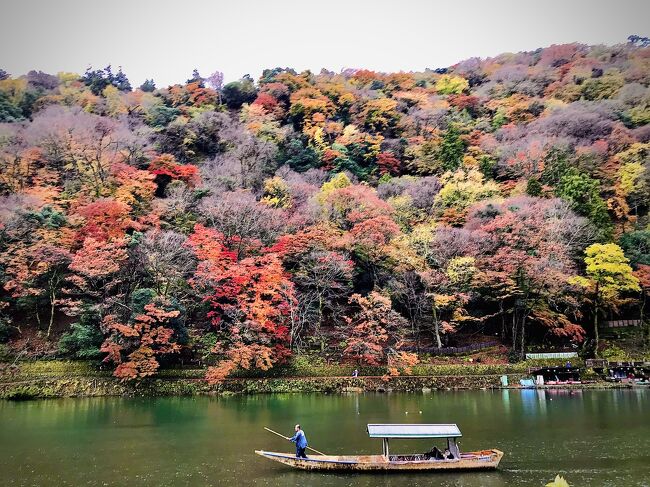 雨もまた楽し嵐山 嵐山 嵯峨野 太秦 桂 京都 の旅行記 ブログ By ケロさん フォートラベル