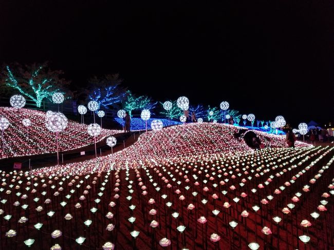 毎月の京都の帰り、珍しく祝日だったので始まったばかりのローザンベリー多和田のローザンイルミ2020「ひかり奏でる丘」を観ることにしました。<br />11月中は金、土、日、祝日のみのオープンです。