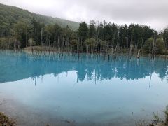 いぬねこ国内旅行記(2020.9北海道)