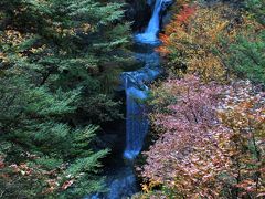 南アルプス「甲斐駒ヶ岳」を”源”とする清流「尾白川渓谷」の紅葉と滝巡り！！