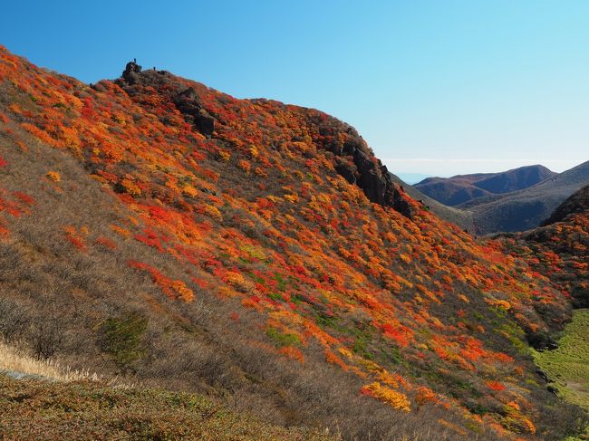 くじゅうの秋を満喫！　その3錦に彩られた三俣山　無念の撤退から歓喜の紅葉お鉢巡り