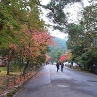 紅葉直前の京都