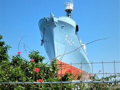 紀伊半島から～瀬戸内しまなみ海道 2000kmドライブ (3)　太地くじら浜公園、平見台園地