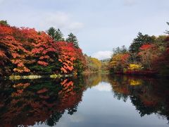 2020秋の軽井沢へ