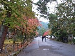 紅葉直前の京都