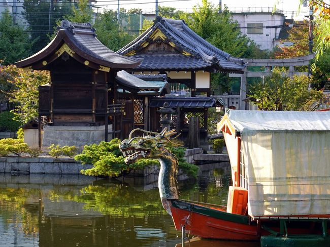 京都非公開文化財特別公開ツアーに参加した二日目。<br />泊まったホテルはアーバンホテル京都二条プレミアム、二条城の真後ろにあるホテルです。<br /> 11月3日は晴の特異日、予想通り朝から快晴、早めの朝食を済ませ早速散歩に出掛けます。<br />狙いは当然二条城、でも真後ろにある為、大手門迄外堀を半周せねばなりません、京都市中の城と侮ると思いが外れます。<br />今日は休日で快晴、多くのランナーが二条城外堀一周に挑んでいます。<br /> 堀端に神泉苑があるので立寄ります、神泉苑は794年に桓武天皇が禁苑として造営したのに始まり、歴代天皇が行幸、宮中行事や園遊を行った場所です。<br /> その後徳川家康が二条城建設にあたり、堀の水源を確保するため苑の半分を城地に取り込み一時荒廃、その後東寺管轄の社寺として再興、現在に至ります、国指定の史跡です。<br /> 二条城大手門に到着しましたが開門は8時半、ホテル出発は10時、しばし悩みますが、カミサンが慌てて帰るのはよくない、又何度も入城しているので今回は見送ろうというので従います。<br />帰路は反対側の外堀に沿って歩き、二条城一周です。<br /> 梨木神社と蘆山寺、こちらは京都御所参観の合間に立寄った処、どちらも平成26年の御所参観時に立寄りました。時間調節にはもってこいの場所なのです。<br /> 尚この編は今回旅行の番外編です。 <br /> <br /><br /> 表紙は神泉苑風景。<br /><br />