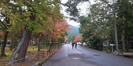 紅葉の満開にはまだ遠しですがこの時期は徐々に紅葉がすすみ、緑と赤のグラデーションが美しい時期です。何より人混みが少なくゆったり散策できます。哲学の道から永観堂、南禅寺、平安神宮から円山公園を抜けてそして清水に向かう私の鉄板コースですが、季節毎に違う表情を見せて新しい発見があります