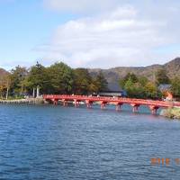 赤城神社で癒され、グリーンドームへ。