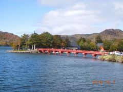 赤城神社で癒され、グリーンドームへ。