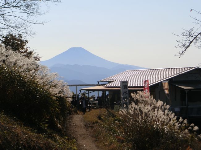 コロナ禍の県内旅行、第11弾！<br />今回は、神奈川と東京の県境にある陣馬山を登ることにしました。<br /><br />1ケ月前に西丹沢で足を痛めた家内ですが、１週間前に大山中腹までケーブルカーで上がってそこから頂上まで登ることができました。<br />今回は陣馬山を登ってみます。<br /><br />元来は、<br />陣屋温泉～陣馬山～奈良子峠～明王峠～底沢峠～堂所山～陣屋温泉と縦走する予定でしたが、飛び石連休の初日で道路が大渋滞。<br />横浜の自宅から陣屋温泉まで70分もあれば到着する予定でしたが、3時間50分もかかってしまい、陣屋温泉に着いたのは10時50分。<br />予定を変更して陣馬山の頂上への往復にしました。