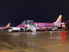 【JGC修行】未踏の空港へ行ってみようと新潟－小牧【修行解脱】