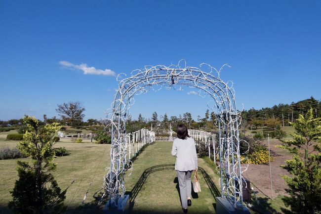 スーパースイートのお部屋で一息ついた後は、10年ほど前に植樹した初島桜の様子を見がてら、館内を散策しようと思います。<br /><br />先ずは軽くお茶をしようと、ラウンジ フィラーレに向かいます。