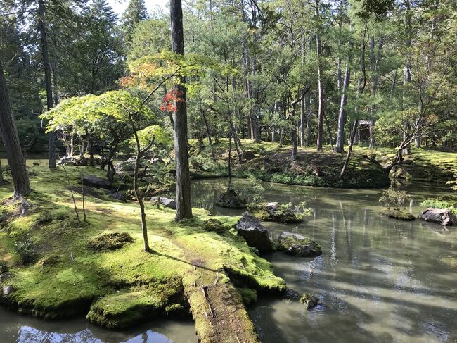 GOTOトラベルで京都旅行。<br />後半はまだ行ったことのない銀閣をはじめ、知恩院・東寺などを訪問しました。京都行きを決めた時にすぐ予約をした苔寺（西芳寺）は最終日の予定です。写経がセットになっているということで、筆ペン持参です。美しいお庭と共に楽しみに訪問しました。