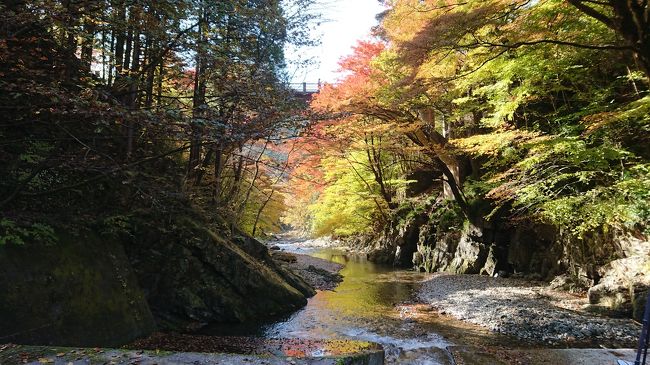 以前、古峰神社を訪れた時、紅葉の頃にもぜひ来たいと思っていたので、<br />天気も良さそうな日に再訪しました。<br />口コミなどを見ていると、紅葉の見頃ぎりぎりでしたが、<br />天気の良さに助けられて、とても気持ちの良い紅葉狩りとなりました。<br /><br />また、古峰神社までの行き方を確認していた時、<br />近くに大芦渓谷というのがあるのを発見。<br />調べていると、認知度は低いものの、紅葉の名所とか。<br />こちらは見頃には少し早いらしいのですが、立ち寄ることにしました。