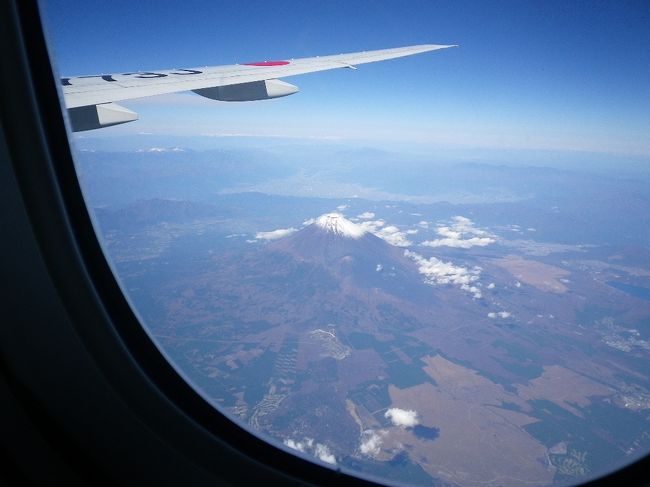 久しぶりに大阪での個人的な病院の検査です。<br />１年に一回は検査の為に大阪に行く予定がコロナの影響で１年半ぶりとなりました。飛行機に乗るのも久しぶりです。<br />大阪もコロナ感染者が多いのでいろいろ気をつけての大阪入りです。梅田あたりをうろうろです。<br />