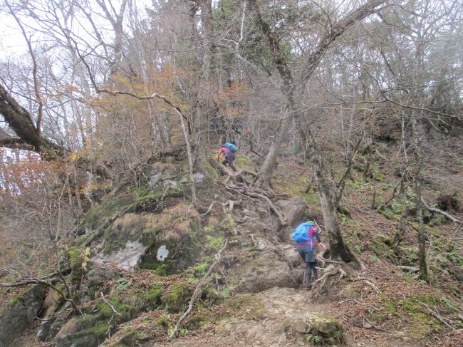 紅葉狩り 沢渡り 岩稜の鎖場 百名山 両神山 小鹿野 皆野 埼玉県 の旅行記 ブログ By Fbrun Zさん フォートラベル