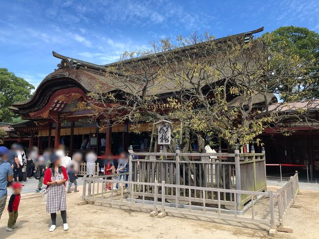 主人から"休みの度に松山へ帰省するばかりだから、たまには何処かへ遊びに行きたいだろう?"と言われ、主人も私も行ったことがなかった福岡へ行くことになりました<br /><br />2日目は太宰府天満宮、令和ゆかりの坂本八幡宮や大宰府政庁跡へも行ってきました