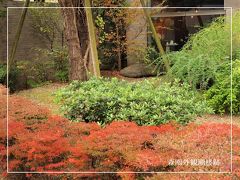 薮下通りを歩く／森鴎外旧居跡から根津神社裏門まで