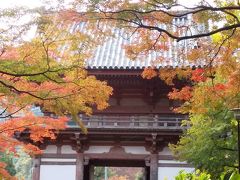 地味だけど紅葉が綺麗だった池田の久安寺