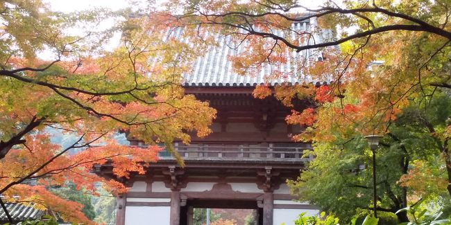 北西が吉方位という事で、奥さんが調べて池田市の久安寺に行って来ました。久安寺は高野山真言宗のお寺で、紅葉には少し早いかと思いましたが、色づいている木もかなりありました。大阪在住30年以上になりますが、こんなお寺があったとは、と言う感じです。<br /><br />今日は、デジカメが修理中なので、写真は全部スマホで撮影しました。