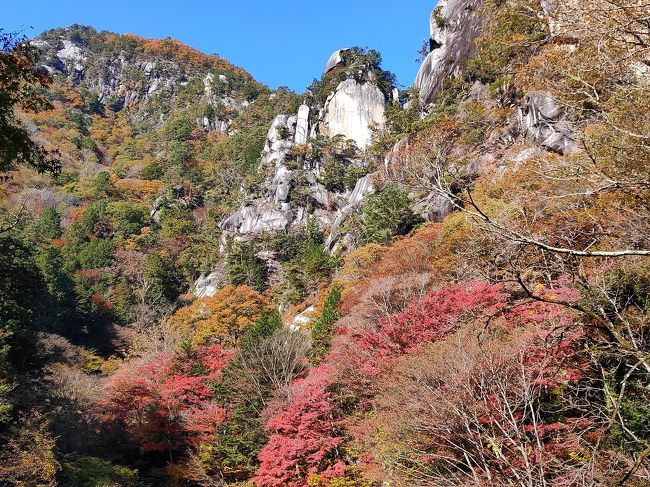 天気が良さそうなので、紅葉はどこが見頃か探した所、昇仙峡の紅葉が見頃だというので、昇仙峡へ紅葉狩りに。<br />朝は甲府は霧がすごかったけれど<br />山の上に行くにつれ晴れてきて、ホッと胸をなでおろす。<br />昇仙峡口までけっこう霧きてたもんな～<br />せっかく来たのに霧で景色見えなかったら～～と心配していました。