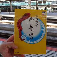 秋のウォーキング&温泉旅・その2.崎陽軒シウマイ弁当を食べて湯河原温泉に行こう