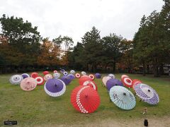 2020年11月＜昭和記念公園・黄葉紅葉まつり・夜散歩＞