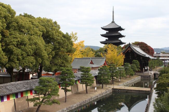 10月の終わりに今だったら紅葉前で空いているから日帰りで京都にちゃちゃっと行ってこようかなと、ぷらっとこだまを取るつもりで東海ツアーズのサイトを開くと「ひさびさ旅割引」というのを見つけました。<br />いつもの往復新幹線代よりもホテル付きの方が安いので1泊に変更です。<br /><br />GoToの割引のため混んでいるみたいで<br />・WEB申込締切日は出発6日前<br />・申し込み後、列車決定や回答に4日前後待つ<br />という制約が付いていたため、予定していた日の翌週の日程になり、思いがけず紅葉を楽しみました。<br /><br />今回は一人旅なので今まで行きたくても見送っていた場所に行くことにしました。<br /><br />１日目<br /> &gt; 新幹線ひかり 8:20 - 9:18<br />京都駅 <br /> &gt; 近鉄京都 - 東寺<br />東寺 <br /> &gt; 市バス202・208 東寺南門前 - 九条車庫前<br />殿田でランチ