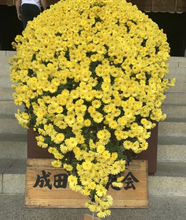 花を求めて 母と一緒に成田山 ニューオータニ幕張にお泊まりそして谷津バラ園 成田 千葉県 の旅行記 ブログ By Miroさん フォートラベル 花を求めて 母と一緒に成田山 ニューオータニ幕張にお泊まりそして谷津バラ園 成田 千葉県 の旅行記 ブログ By Miroさん フォートラベル