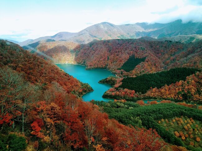 火の鳥がみられるという宝徳稲荷の神幸祭（よまつり）へ行きました。あわせて紅葉の新潟を巡る2泊3日レンタカーでの旅です。<br /><br />1日目　越後湯沢駅→奥只見湖→清津峡<br />　　　　→松之山温泉<br />2日目　美人林→絵本と木の実の美術館<br />　　　　→寺泊魚の市場通り→弥彦神社<br />　　　　→長岡花火館→宝徳稲荷（深夜）<br />3日目　苗場ドラゴンドラ→貝掛温泉<br />　　　　→越後湯沢駅