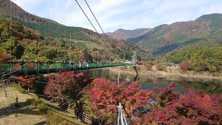 2020年10月 那須旅行♪温泉満喫♪もみじ谷大吊橋♪千本松牧場♪