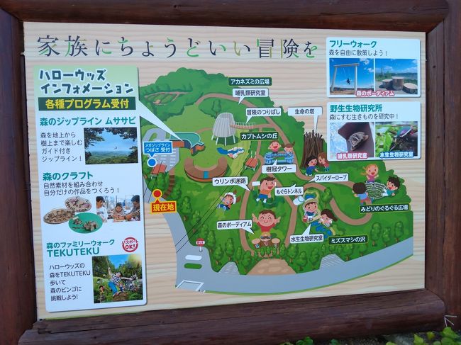 Gotoトラベルを利用して ツインリンクもてぎ へ二日目 益子 茂木 栃木県 の旅行記 ブログ By Kokkoさん フォートラベル Gotoトラベルを利用して ツインリンクもてぎ へ二日目 益子 茂木 栃木県 の旅行記 ブログ By Kokkoさん フォートラベル