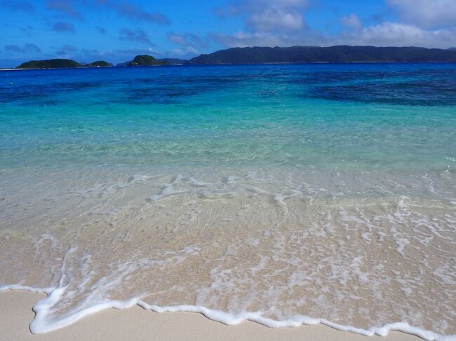コロナ禍で巣篭もり生活をしていた時、海を見たい！と沖縄をポチ！１１月にはおさまっていると信じていたが、Ｗｉｔｈ　コロナ(;^_^A<br />誰か一緒に行ってくれないかな～とお願いしたのが、旅の達人れいろんさん。<br />私の離島に行きたい希望を叶えるプランをいくつか提案して頂き座間味島に決定しました。<br />前泊はダブルツリーbyヒルトン那覇首里城、座間味から帰って来た日はハイアットリージェンシー那覇のシティ派のホテルステイ。<br />私の滞在時間が少なくて島滞在が短かったのが大変申し訳ないですが、絵に書いたような慶良間ブルーを満喫出来ました(*´?`*)<br />一緒に行ってくれてありがとうございました♪