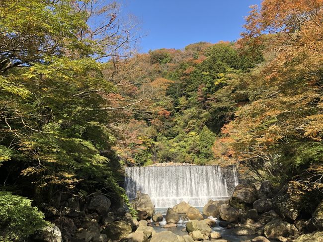 紅葉の箱根へ。<br />宮ノ下周辺の早川渓谷の遊歩道を中心に、秋の箱根を歩いてきました。<br /><br />小田原駅　→（路線バス）→　神社下バス停（木賀温泉近く）<br />→　箱根神社　→　太閤の滝／太閤の石風呂<br />→　堂ヶ島渓谷遊歩道　→　宮ノ下温泉　→　大平台温泉（大平台駅）<br />→（箱根登山鉄道）→　塔ノ沢駅　→　深沢銭洗弁財天<br />→　千歳橋　→　旭橋　→　箱根湯本駅<br />