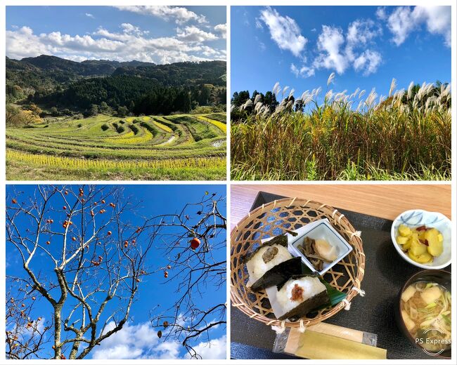 ふらっと房総・鴨川 ～ 地元千葉で愛でる里山の秋♪老舗旅館・鴨川館でお篭り ＆ 路線バスで大山千枚田