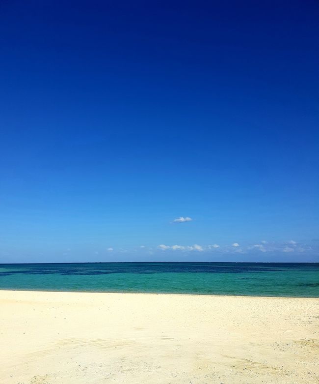 沖縄 フサキビーチリゾートホテルさんに泊まる、八重山諸島4島(石垣島・竹富島・西表島・由布島)周遊②