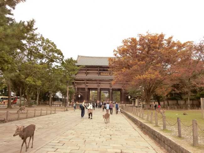 奈良を満喫！JWマリオットホテル奈良宿泊