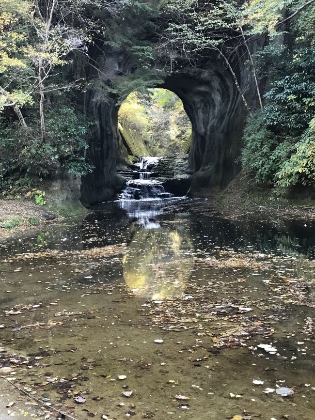 半年以上前に、11月連休は京都へ行こうと計画をして楽しみにしていましたが、11月に入ってからコロナ患者が激増しています。<br /><br />私個人的な意見では、旅行に限らず生活全ての行動は家族単位で行動し、密避け、マスク、手洗い、うがい、消毒、小声、検温などを心掛けて生活すれば、お出かけや外食は問題ないと思っています。<br />※もちろん熱があったり、気分が悪かったりなど、少しでも健康ではない症状があれば論外ですが…。<br />具合が悪いのにキャンセル料が勿体ないから沖縄に行った、という旅行記をみましたが、そういう方がフォートラトラベラーにいるのは残念ですね。<br /><br />しかしそれで出かけて、羽田空港や東京駅や京都駅などで絶対待ち構えているマスコミのカメラに、私たちの姿が映りこみテレビで流されたり、赤の他人のブログやインスタなどに写りこんだりでもしたらみっともないという理由で、前日午前中に京都旅行はキャンセルにして、自宅と同じ県内にある別荘で過ごすことにしました。<br /><br />京都でよりによってこの時期に、ポケモンGOのイベントもあるということで、ポケモンGOに夢中ないい歳した大人たちが集まるというのも、行く気をなくさせる要因となりました。(結局中止になったようですが)<br />幸いにもキャンセル料は、こんな状況もあるだろうと思いプランを組んだので、帰りの新幹線とホテルはキャンセル料なし、行きの飛行機の440円だけで済みました。<br /><br />かと言って、紅葉を見たいと思っていましたので、自宅から別荘へ行く途中にいつも素通りしている濃溝の滝・亀岩の洞窟に、朝早くに寄って行くことにしました。<br />帰り道は、廃校をアレンジしたカフェや笠森観音、長福寿寺へ寄り道しました。<br /><br />コロナ禍で、別荘や田舎生活などが注目されています。<br />周りのおうちも今年中古物件を購入され、定期的に来荘されているかたもいます。<br />ご検討されているかたに参考になれば。