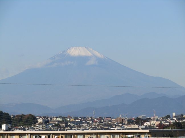 　ようやく冬型の天気配置になり、朝から冬晴れとでも言える秋晴れだ。それにしても山の天気の変化は早い。さっきまでは水神ヶ谷公園から見た富士山には殆ど雲はかかってはいなかった（https://4travel.jp/travelogue/11659543）が、ここ舞岡町四阿にある舞岡公園西尾根道「舞岡ふるさとの森散策路」にある富士山のビュースポットでは、朝の9時前だというのに富士山の8合目辺りには雲が掛かり始めている。それでも何とか舞岡公園西尾根道から昼に富士山を見ることができた。先週金曜日の日没後に、この場所からの富士山のシルエットをお伝えしている（https://4travel.jp/travelogue/11658540）。やはり、富士山は昼、それも横浜では陽が西に向かう前の午前中に見るのが一番綺麗に見えるだろう。しかし、今日は午前中には既に雲の中に隠れてしまったので、朝一番にこのビュースポットを訪れて、カメラに収められたことはラッキーである。<br />（表紙写真は舞岡公園西尾根道から昼に見る富士山）