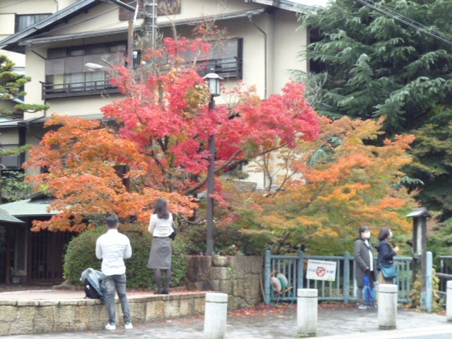 時折行く有馬温泉のお気に入りの宿へ行ってきました。<br />秋に行ったのは初めてでまた紅葉には早いかと思いながらでしたが、一部紅葉が楽しめましたし、お料理にも秋の気配があり、楽しめました。