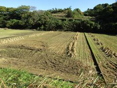 舞岡公園の田園風景－2020年秋