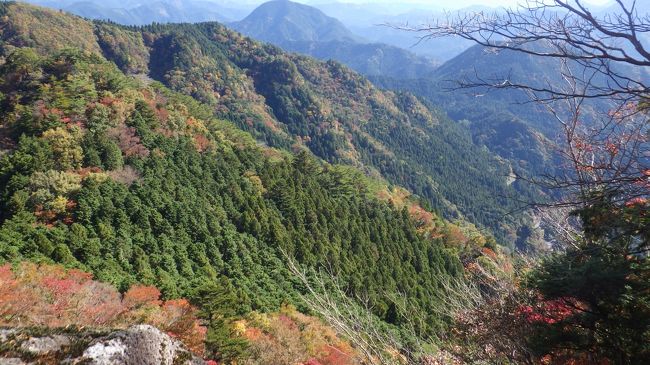 奥三河の山に行きたくて、鹿島山～大鈴山～平瀬明神山の計画で出かけましたが、鹿島山の登山口が分からず明神山の登山口のある黒倉まで来てしまい、通り過ぎてしまいました。明神山から登ろうと変更しましたが、R473号線に新しくバイパスが出来ており又しても登山口が不明。（古いガイドブックには旧道表示の為）３０分以上さまよい何とか平瀬明神山登山口に、ピストンで下山し、鹿島山登山口に戻る。(ここもR473号バイパスではなく旧道に登山口が）鹿島山のみで下山。<br />山は散々でしたが、帰路R257号稲橋手前にある大井平公園の見事な紅葉を見てきました。