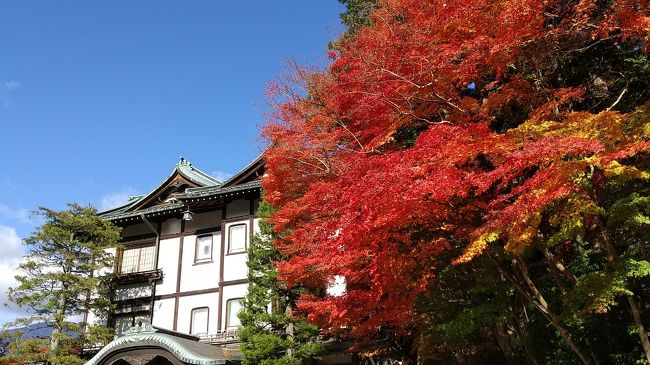 紅葉を求めて11月初旬に日光に行ってきました。中禅寺湖周辺は残念ながら見頃を過ぎていましたが、東照宮周辺は見事な色づきでした。<br />お宿はgotoを使ってちょっと贅沢して金谷ホテルへ。